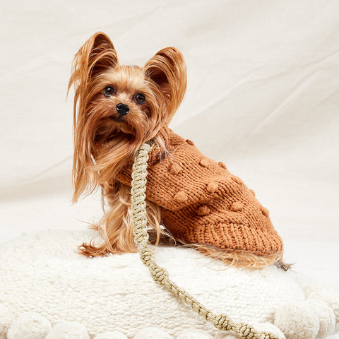 Merino Wool Bobble Knit Dog Sweater - Caramel