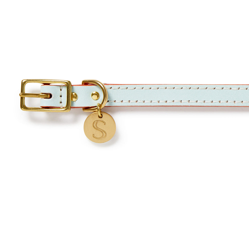 Leather Dog Collar - Ice Blue