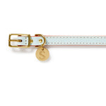 Leather Dog Collar - Ice Blue