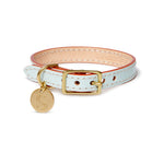 Leather Dog Collar - Ice Blue