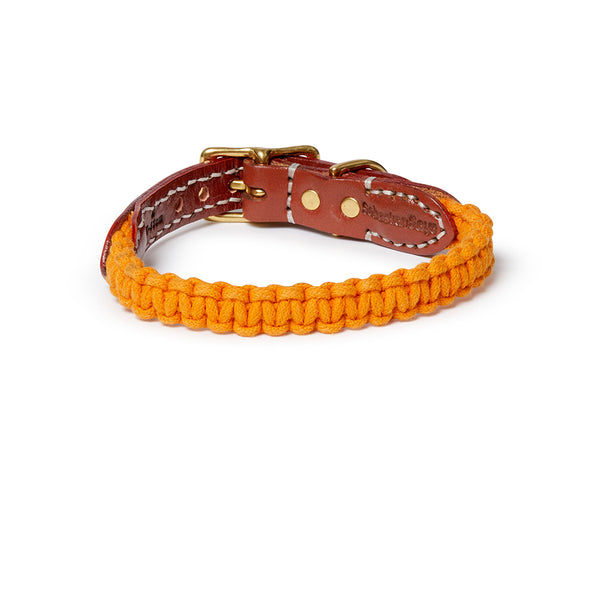Braided rolled leather dog collar sales