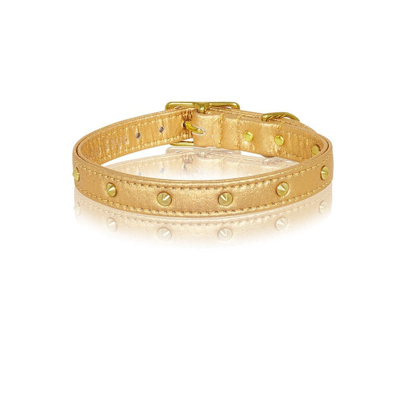 Pi atex Spike Dog Collar Gold Sebastian Says