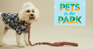 Pets In The Park