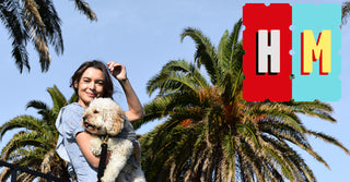 Hank Marvin Market - Alma Park