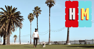 Hank Marvin Market - Dendy Park