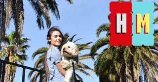 Hank Marvin Market - Dendy Park