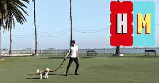 Hank Marvin Market - Dendy Park