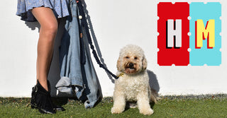 Hank Marvin Market - Alma Park