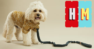 Hank Marvin Market - Brighton