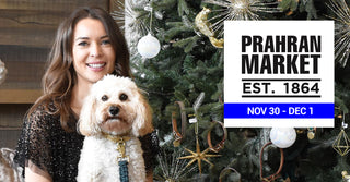 Dog Model Search - Prahran Market