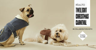 Rialto Twilight Christmas Carnival