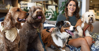 Australia's Next Top (dog) Model 2018