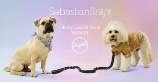 Liberty Launch Party