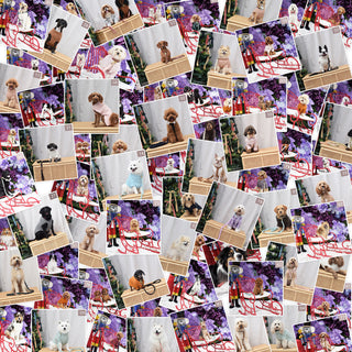 Who Is The Next Top Dog?