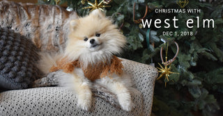 Christmas with west elm