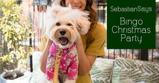 Bingo Christmas Party