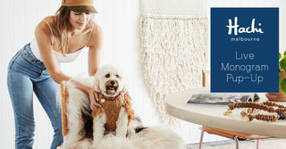 Hachi Melbourne Pup-Up