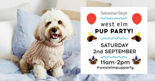 Chadstone West Elm Pup Party!