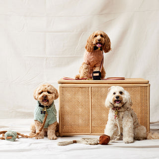 Super Soft Wool Sweaters