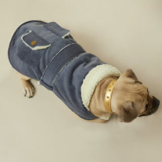 Corduroy