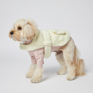 dog coat
