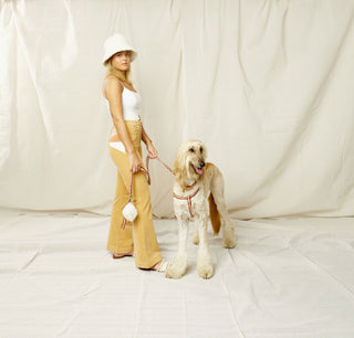 Harnesses