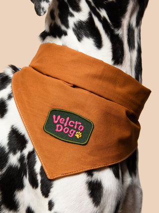 Velcro Dog | Iron-on patch for pets