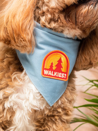 Walkies | Iron-on patch for pets