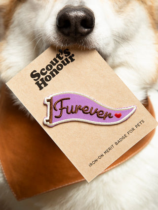 Furever | Iron-on patch for pets