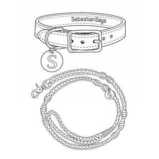 Leather Collar & Lead Set