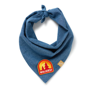 Walkies | Iron-on patch for pets
