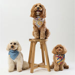 Liberty Bandana - Floral Stripe