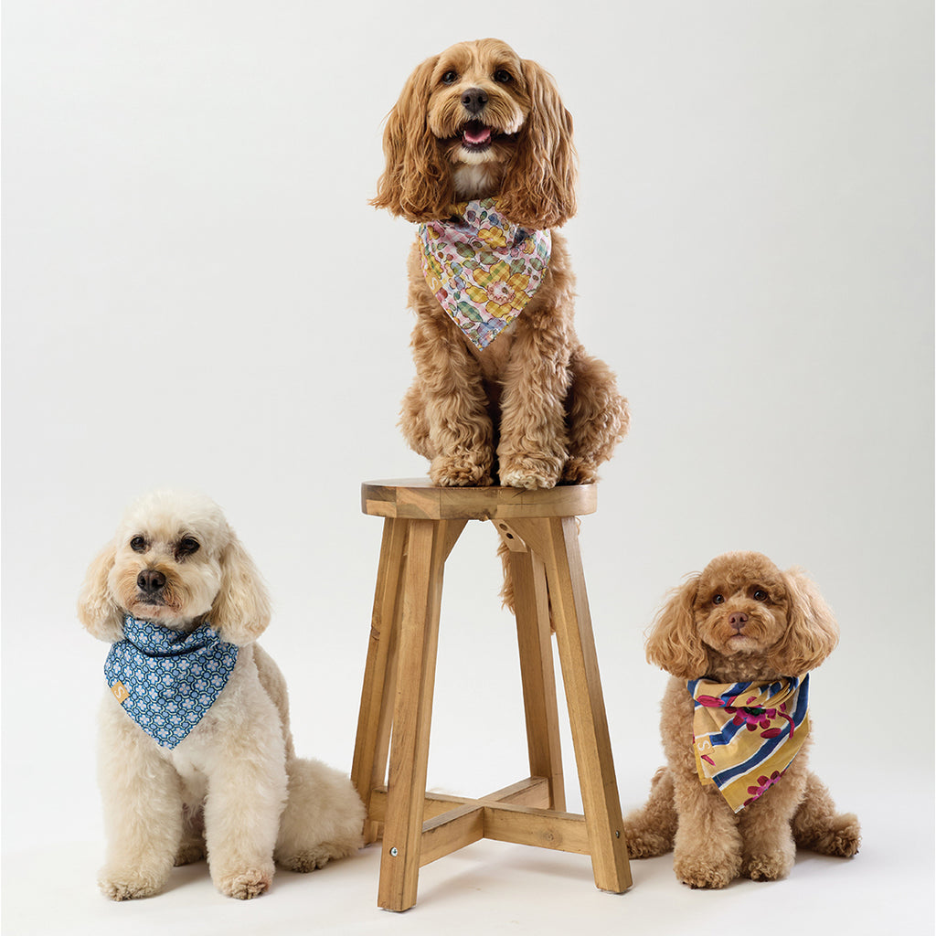 Liberty Bandana - Gingham