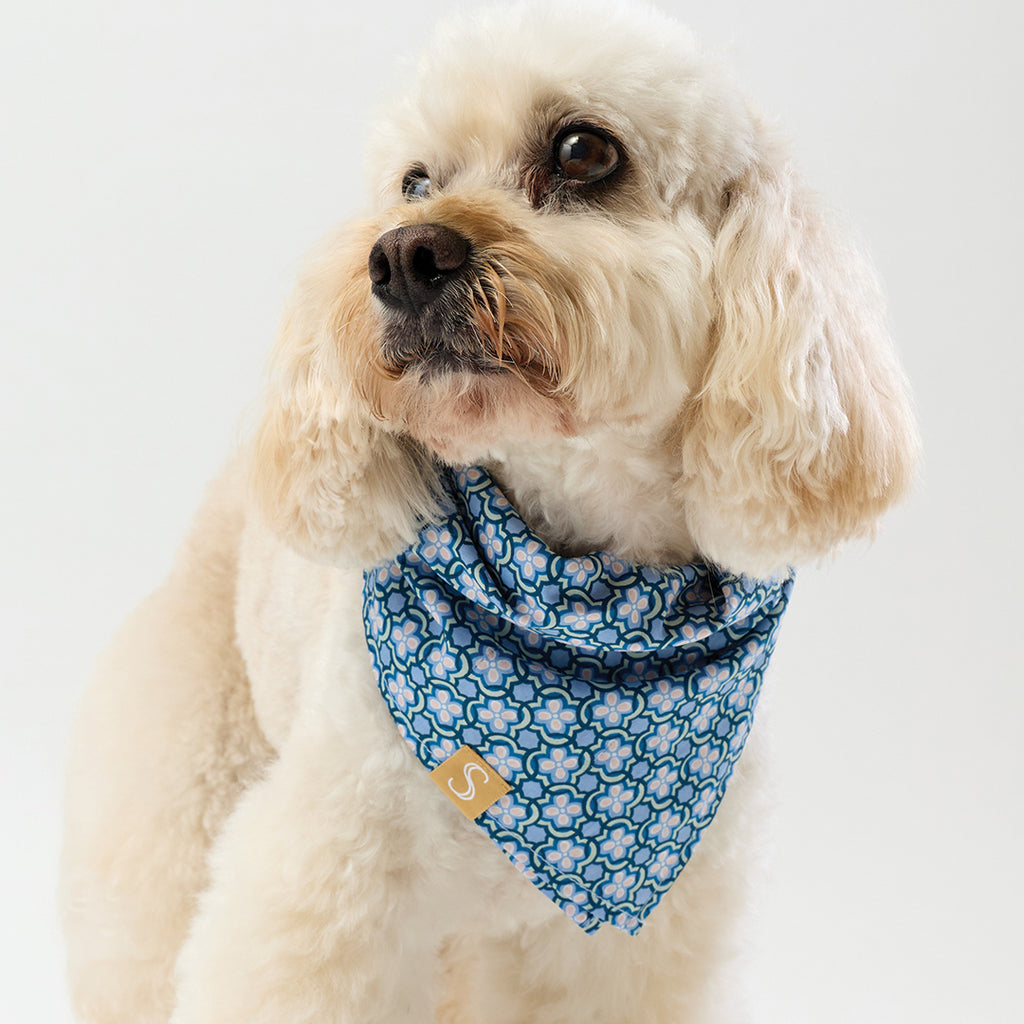 Liberty Bandana - Blue Geo