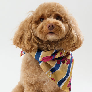 Liberty Bandana - Floral Stripe