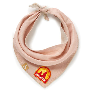 Walkies | Iron-on patch for pets