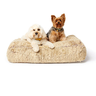 Boujad Dog Bed, Medium - Item #16