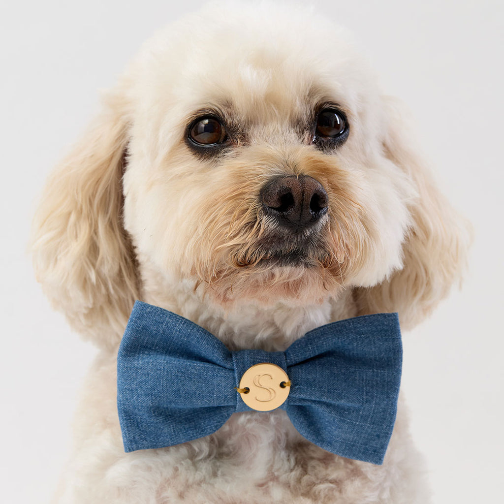 Denim Bow Tie