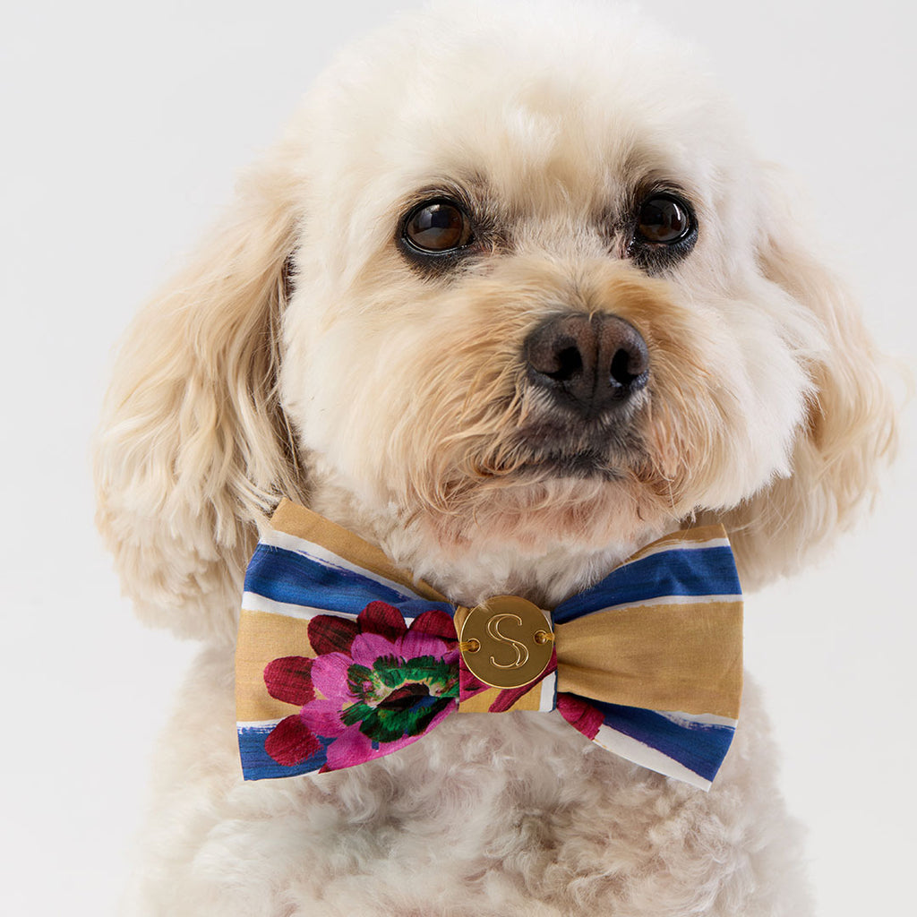 Liberty Bow Tie - Floral Stripe