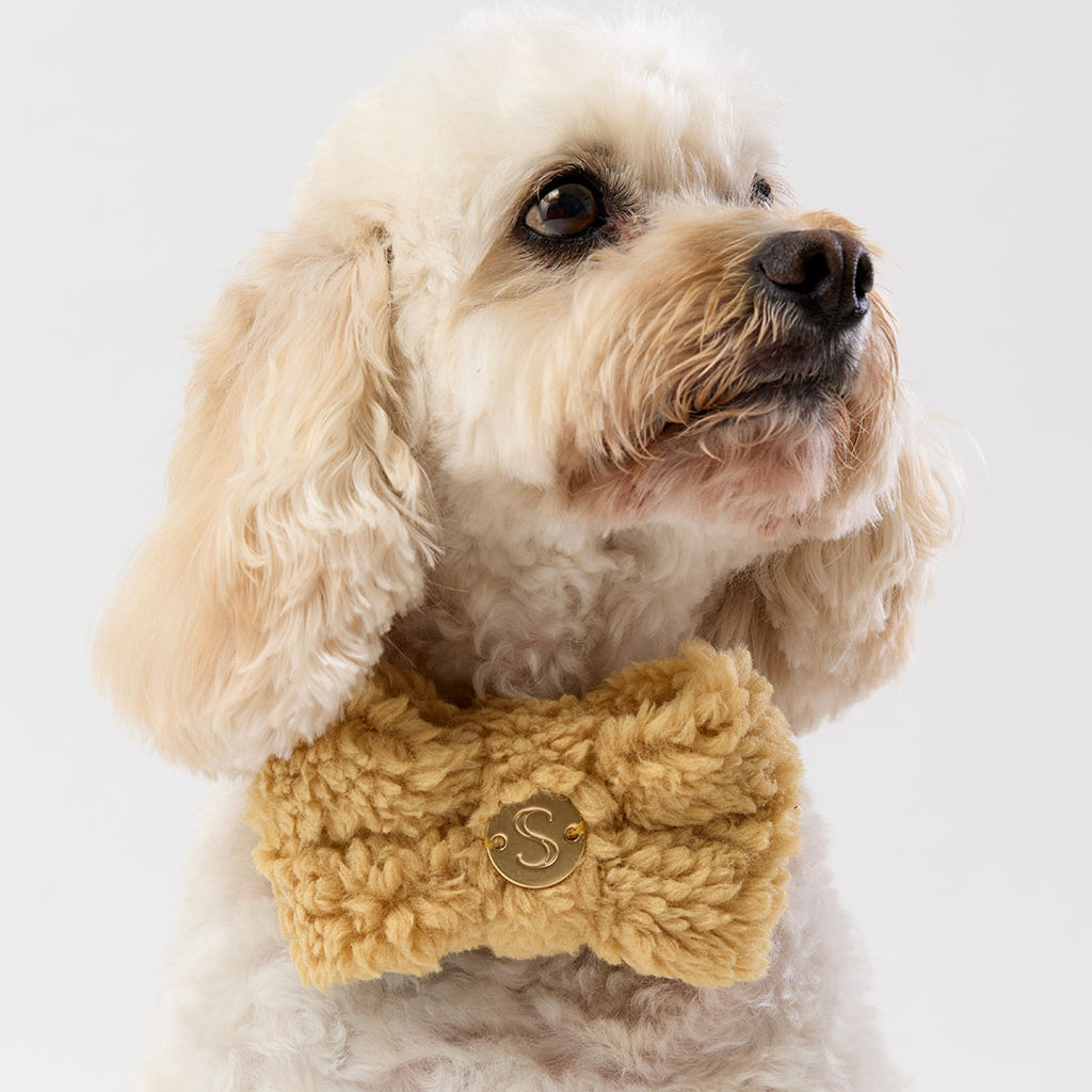 Teddy Bow Tie - Golden