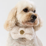 Teddy Bow Tie - Natural