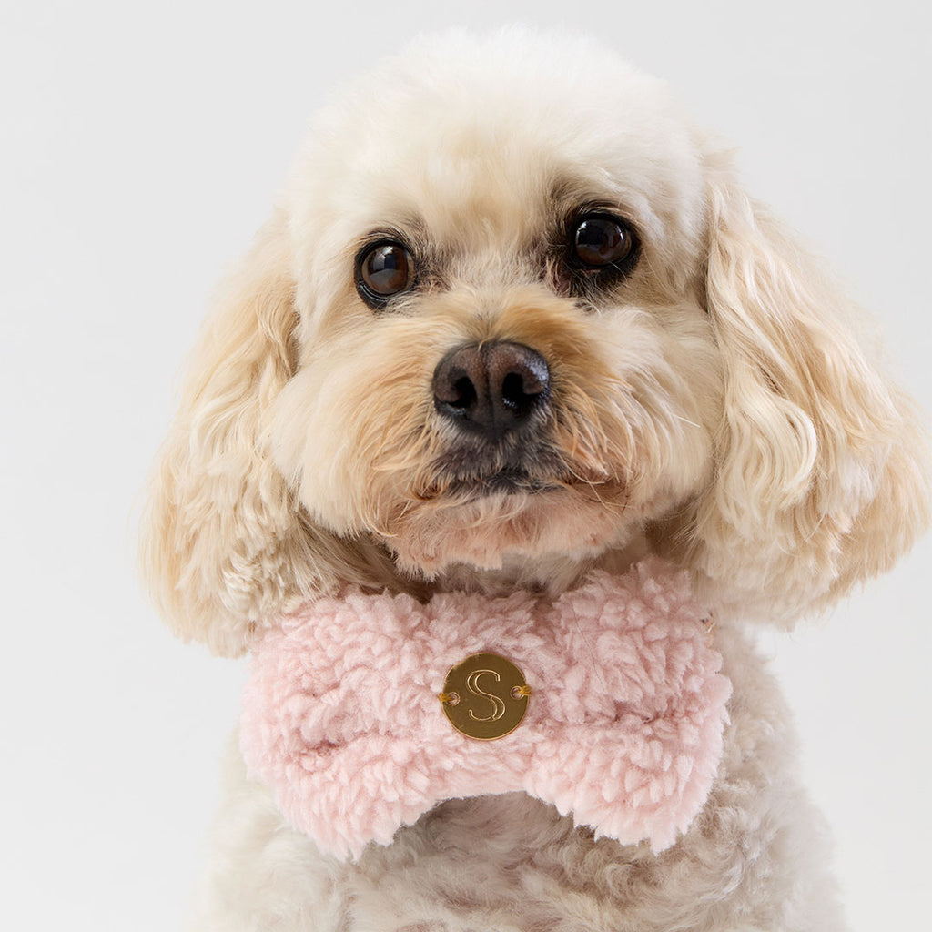 Teddy Bow Tie - Soft Pink