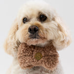 Teddy Bow Tie - Taupe