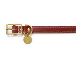 Leather Dog Collar - Cognac