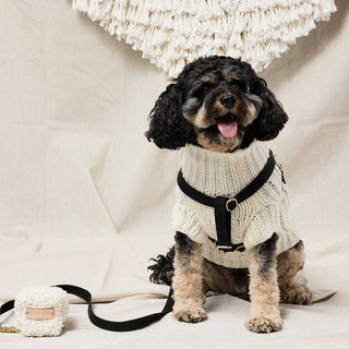 Webbing Step In Harness - Black