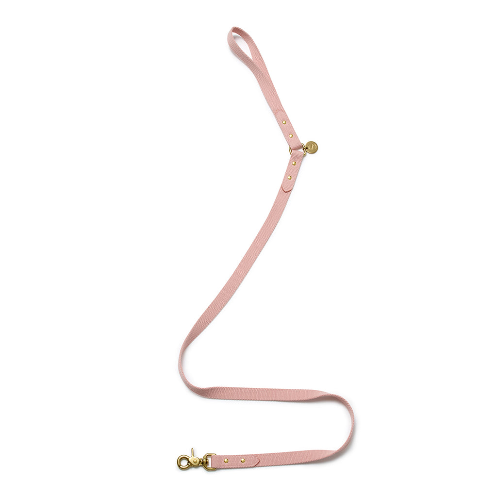 Webbing Lead - Soft Pink