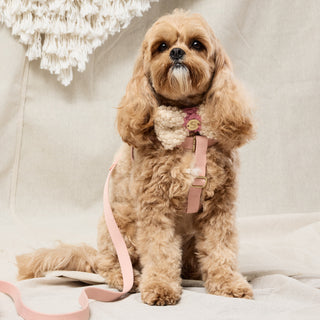 Webbing Step In Harness - Soft Pink