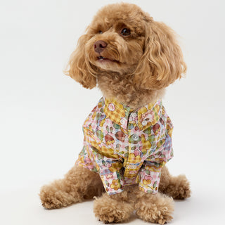 Liberty Shirt - Gingham