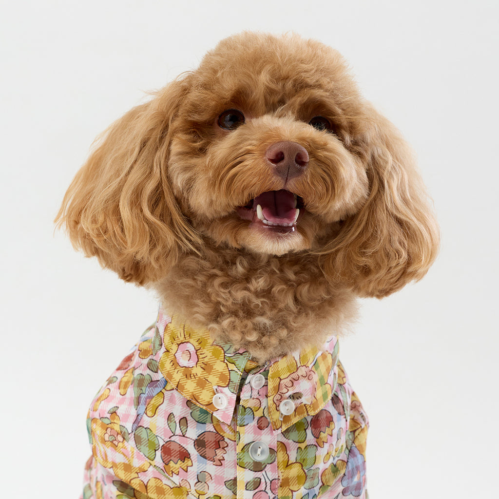 Liberty Shirt - Gingham