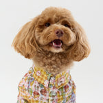 Liberty Shirt - Gingham